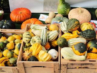 various decorative vegetables on a market, ready to be displayed