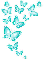 butterflies design