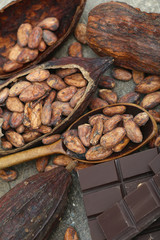 Kakaosortiment