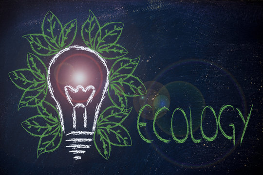 ecology ideas & reneawable energy