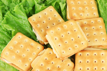 Sandwich crackers with cheese clothe up