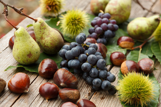 Typical autumn fruit composition