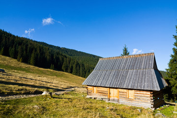 Fototapeta na wymiar Shepherd wooden hut on meadow, Tatry Mountains, Poland