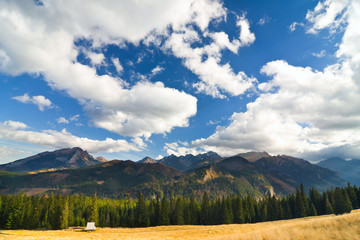 Beauty mountain panorama, Rusinowa Polana, Tatry, Poland © dziewul