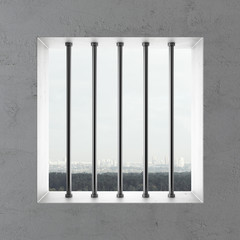 Jail window