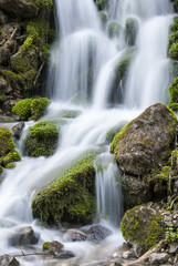 Fototapeta na wymiar Small waterfall in the woods
