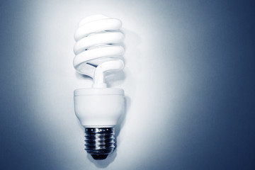 Bulb