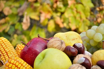 Detail of colorful autumn fruits and vegetables