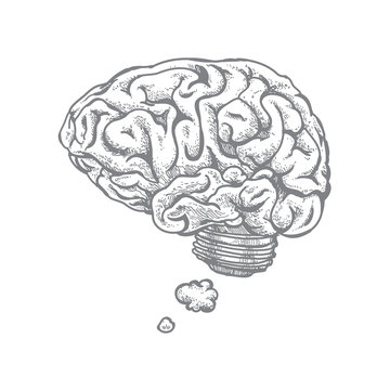 Hand drawn vector illustration of brain and idea. Isolated on white.