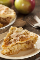 Homemade Organic Apple Pie Dessert