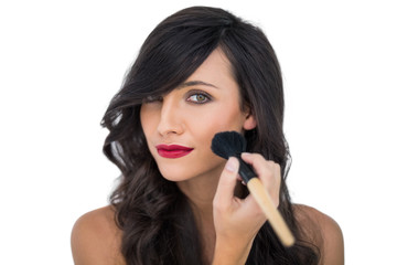 Glamorous brunette applying blusher