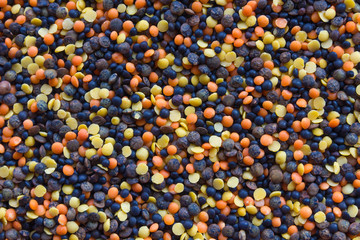 Lentils (Lens culinaris). Natural textured background.