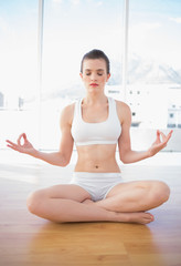 Peaceful fit brown haired model in sportswear meditating in lotu