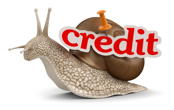Credit Snail (clipping path included)