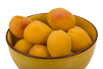 Yellow bright apricot