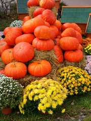 Pumpkin, stack of vegetables and chrysanthemum, Halloween