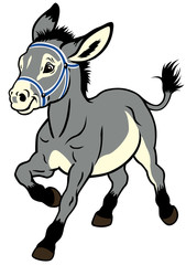 Obraz na płótnie Canvas cartoon donkey