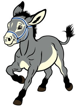 cartoon donkey