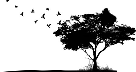 Obraz premium sylwetka drzewa z ptaków latających