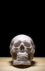 黒色の背景に頭蓋骨の模型