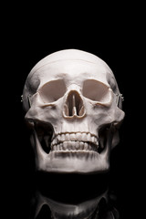 黒色の背景に頭蓋骨
