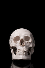 黒背景に頭蓋骨の模型