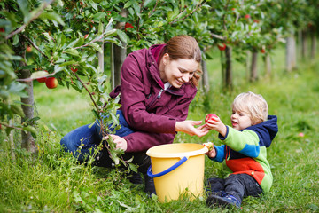 Adorable toddler boy of two years and his mother picking red app