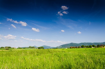green field background