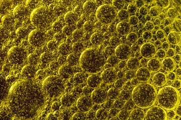 olive oil bubbles