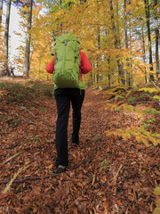 Trekking - woman on mountain hike