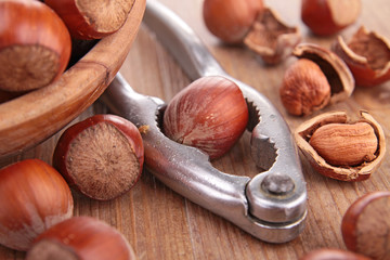 hazelnut and nutcracker