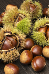 沢山の栗と毬栗のアップ