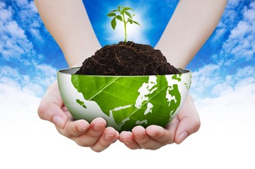 Sapling on pile and butterfly on hand sky background