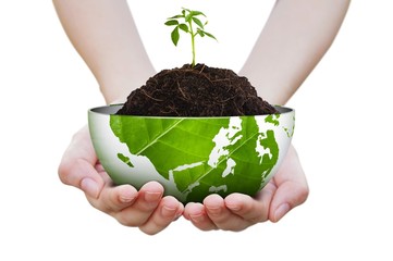 Sapling on pile and butterfly on hand