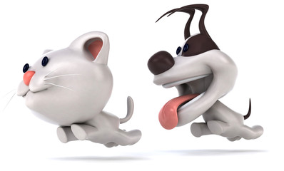 Chat et chien