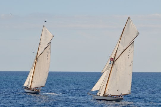 Vento in poppa