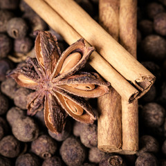 Cinnamon sticks and anise stars 