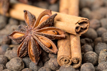 Cinnamon sticks and anise stars 