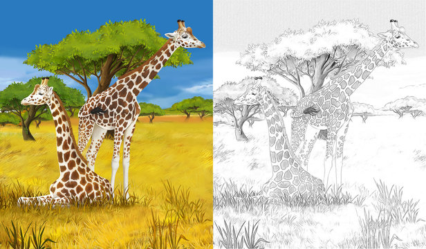 Cartoon giraffe - coloring page - illustration