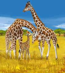 Safari - giraffes - illustration for the children