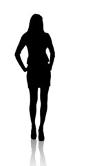 sexy business woman detailed silhouette