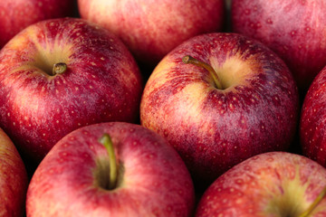 Close-up of red apples