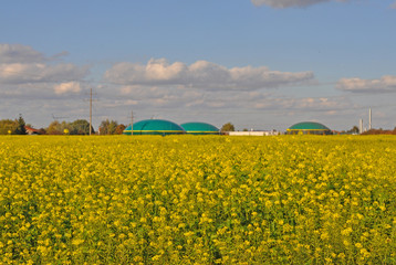 Biogasanlage und Rapsfeld
