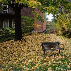 Autumn in Oslo