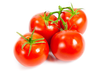 Closeup of tomatoes on the vine isolated on white.