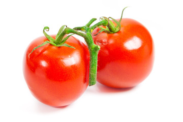Closeup of tomatoes on the vine isolated on white. Tomato branch