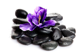 Fototapeta na wymiar Spa Stone. Zen pebbles. Stone spa and healthcare