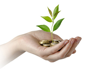 Investing to green business