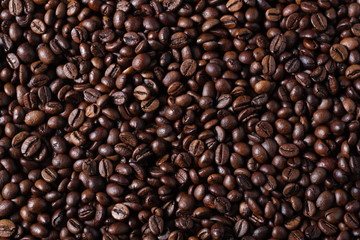 Robusta Coffee Beans