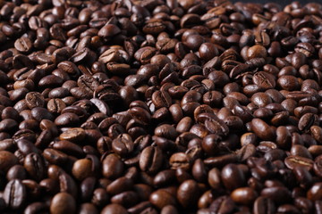 Robusta Coffee Beans